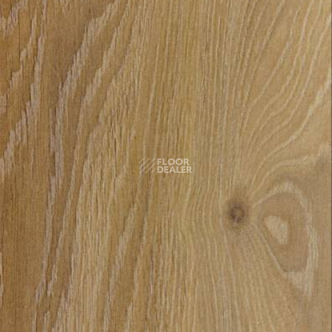 Ламинат Alsafloor Solid Plus АЛИКАНТЕ 518 фото 1 | FLOORDEALER